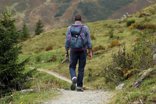 Temporary Closure of Public Footpath